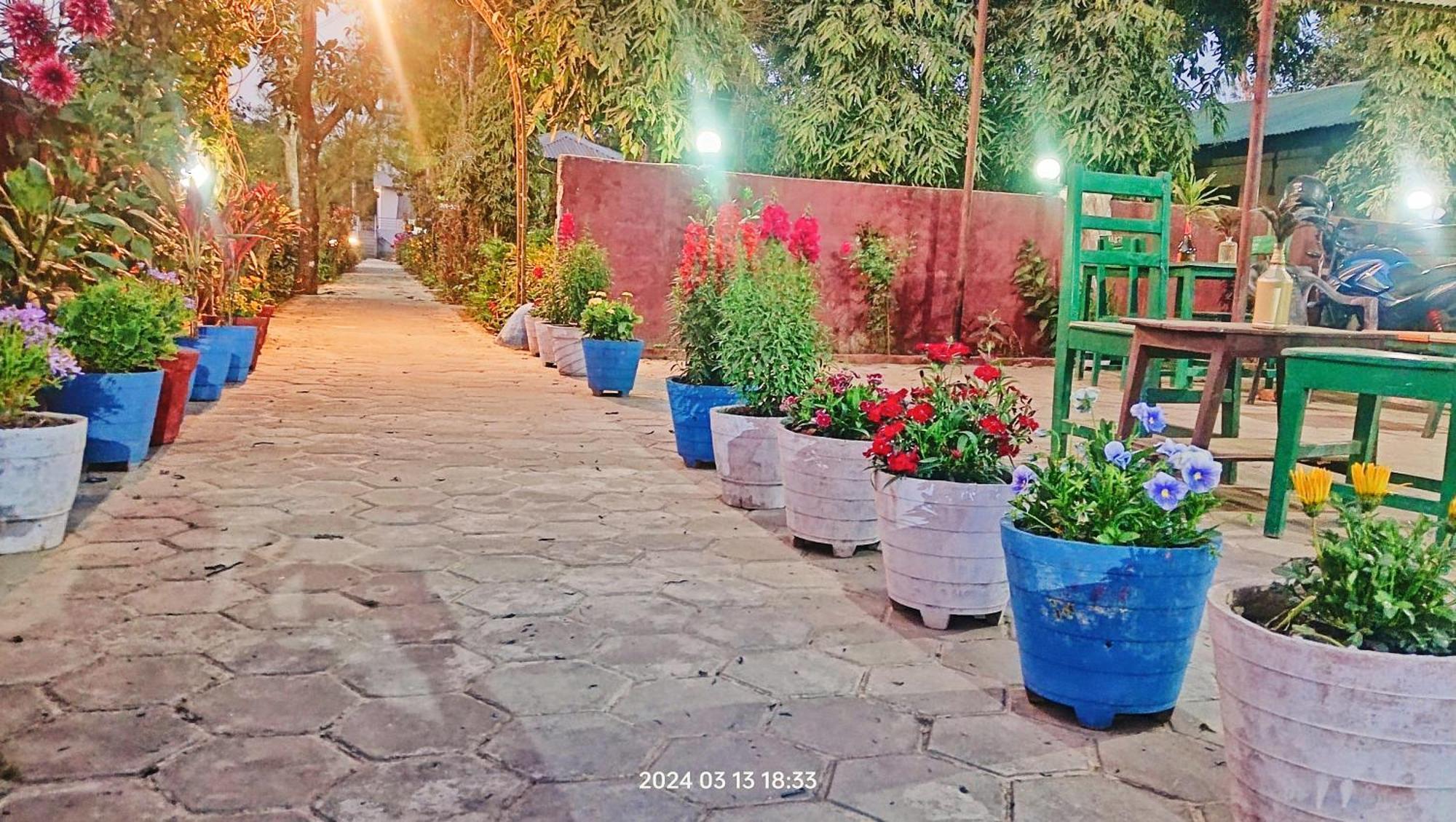 Hotel Butterfly - Peaceful Garden For Nature Lovers Саураха Екстер'єр фото