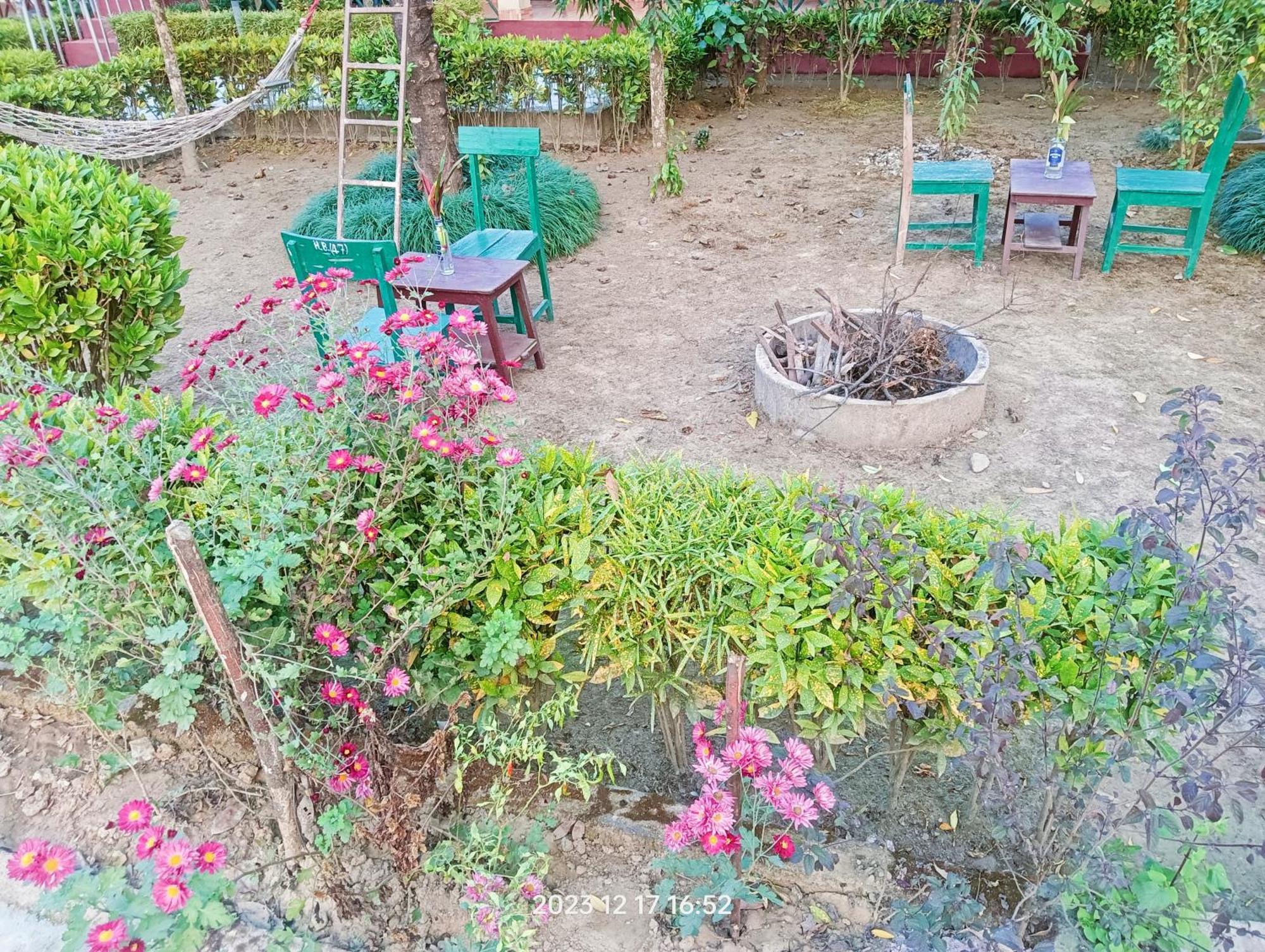 Hotel Butterfly - Peaceful Garden For Nature Lovers Саураха Екстер'єр фото