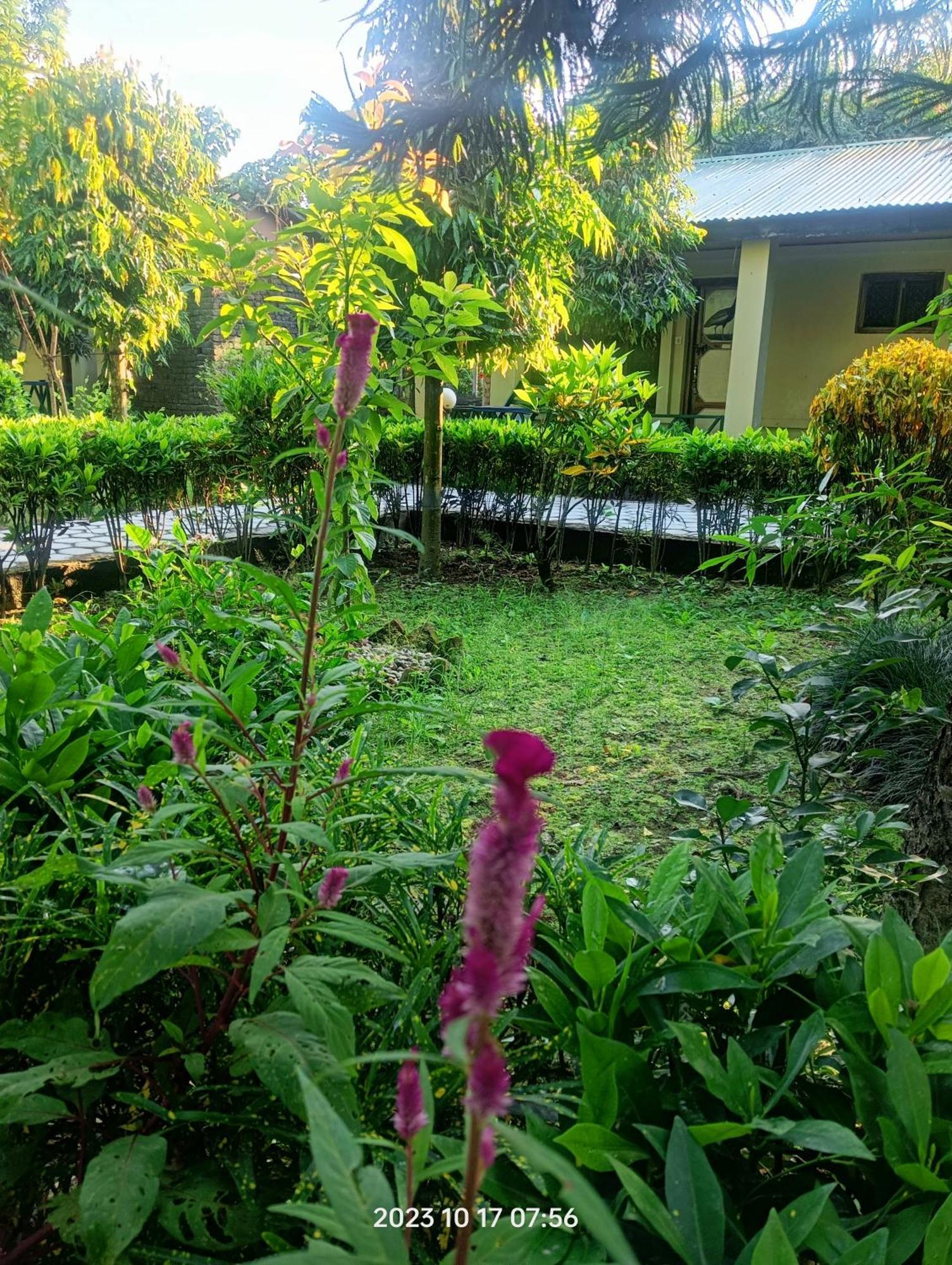 Hotel Butterfly - Peaceful Garden For Nature Lovers Саураха Екстер'єр фото