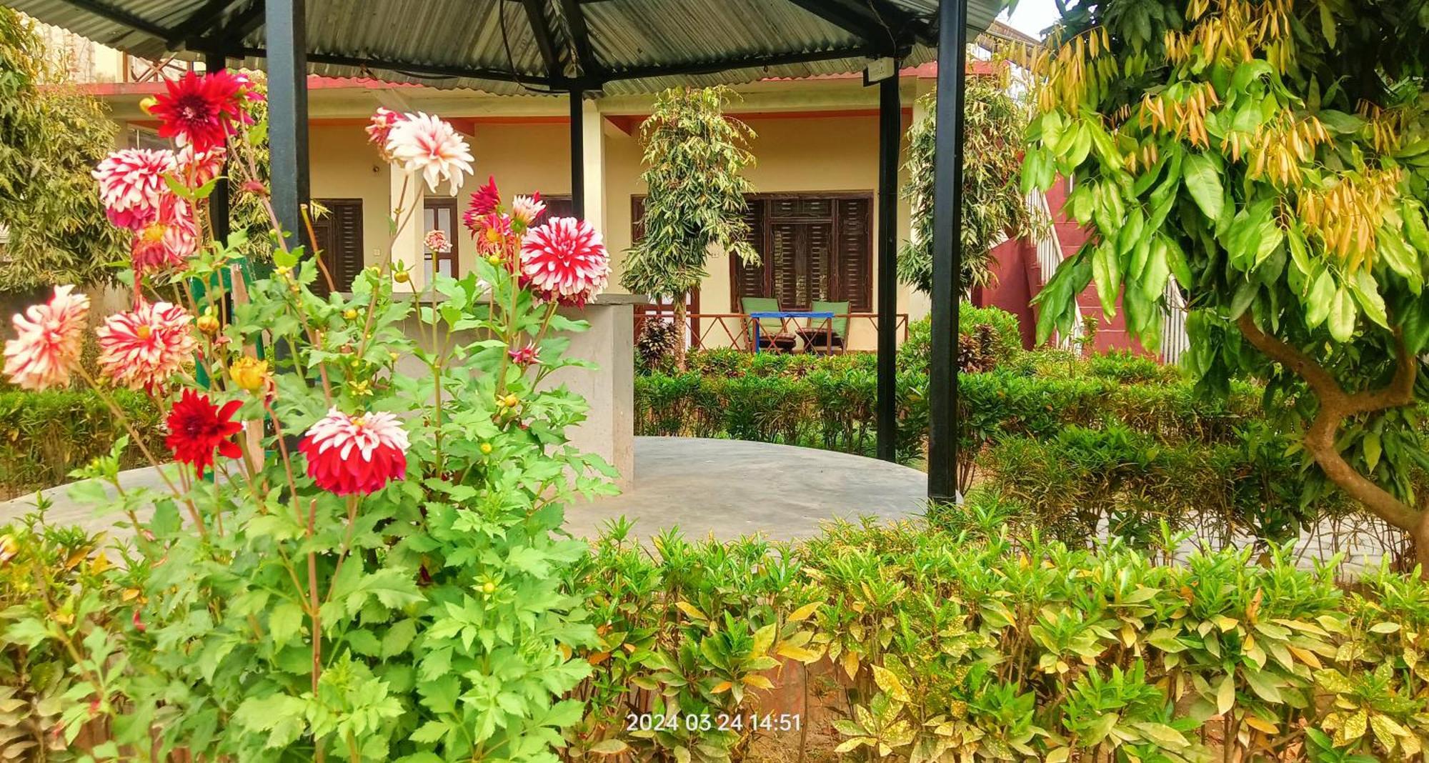 Hotel Butterfly - Peaceful Garden For Nature Lovers Саураха Екстер'єр фото