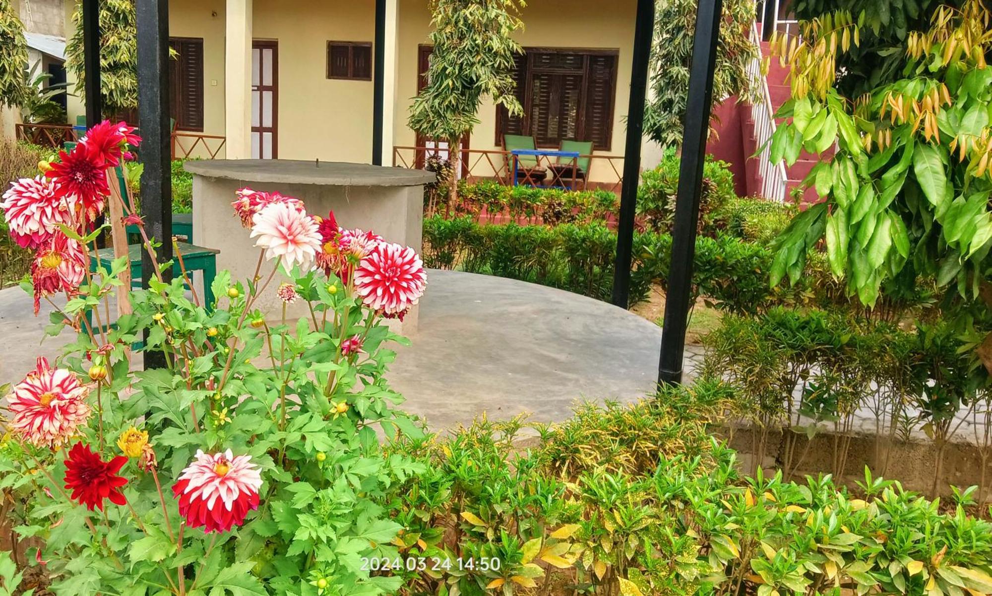 Hotel Butterfly - Peaceful Garden For Nature Lovers Саураха Екстер'єр фото