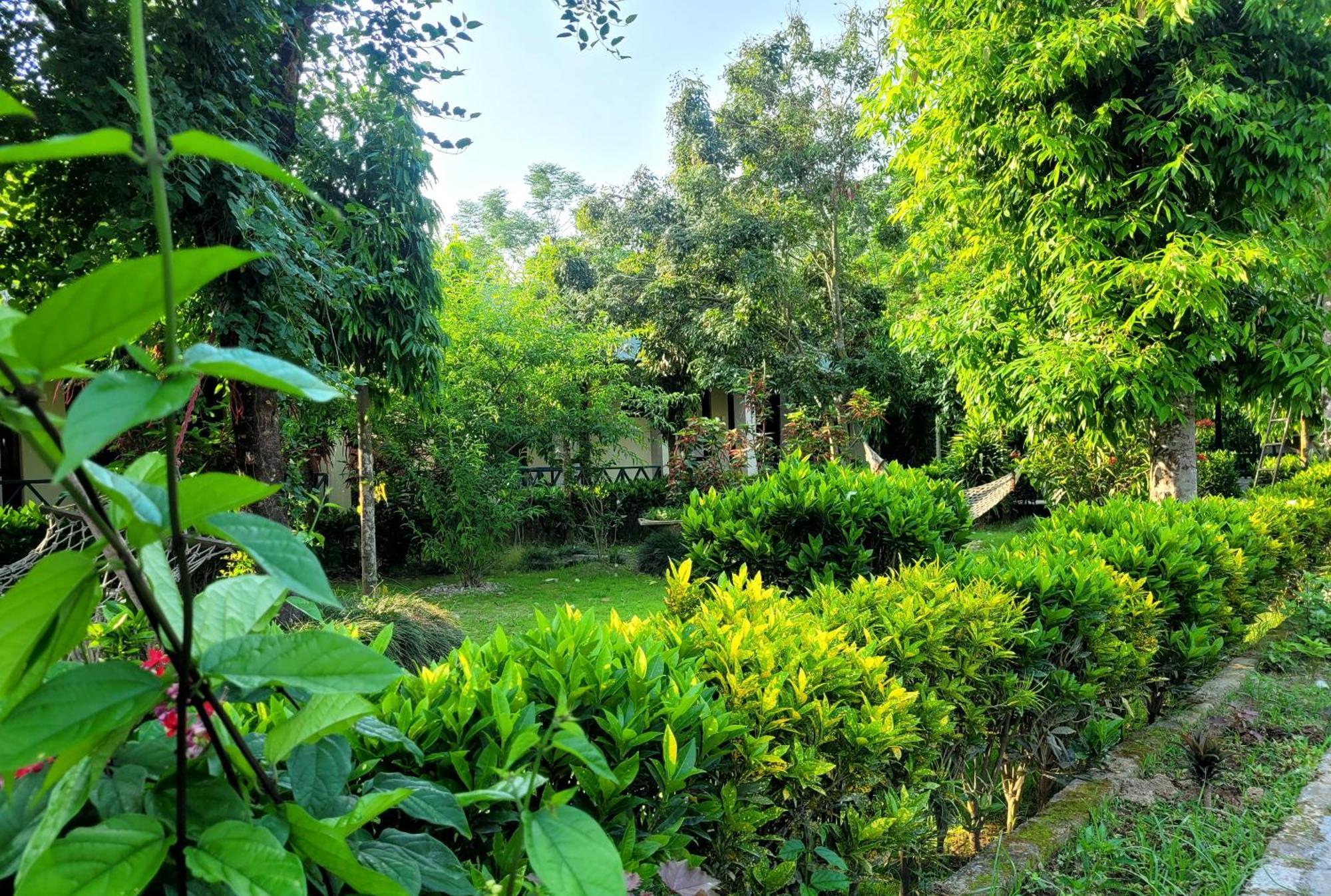 Hotel Butterfly - Peaceful Garden For Nature Lovers Саураха Екстер'єр фото