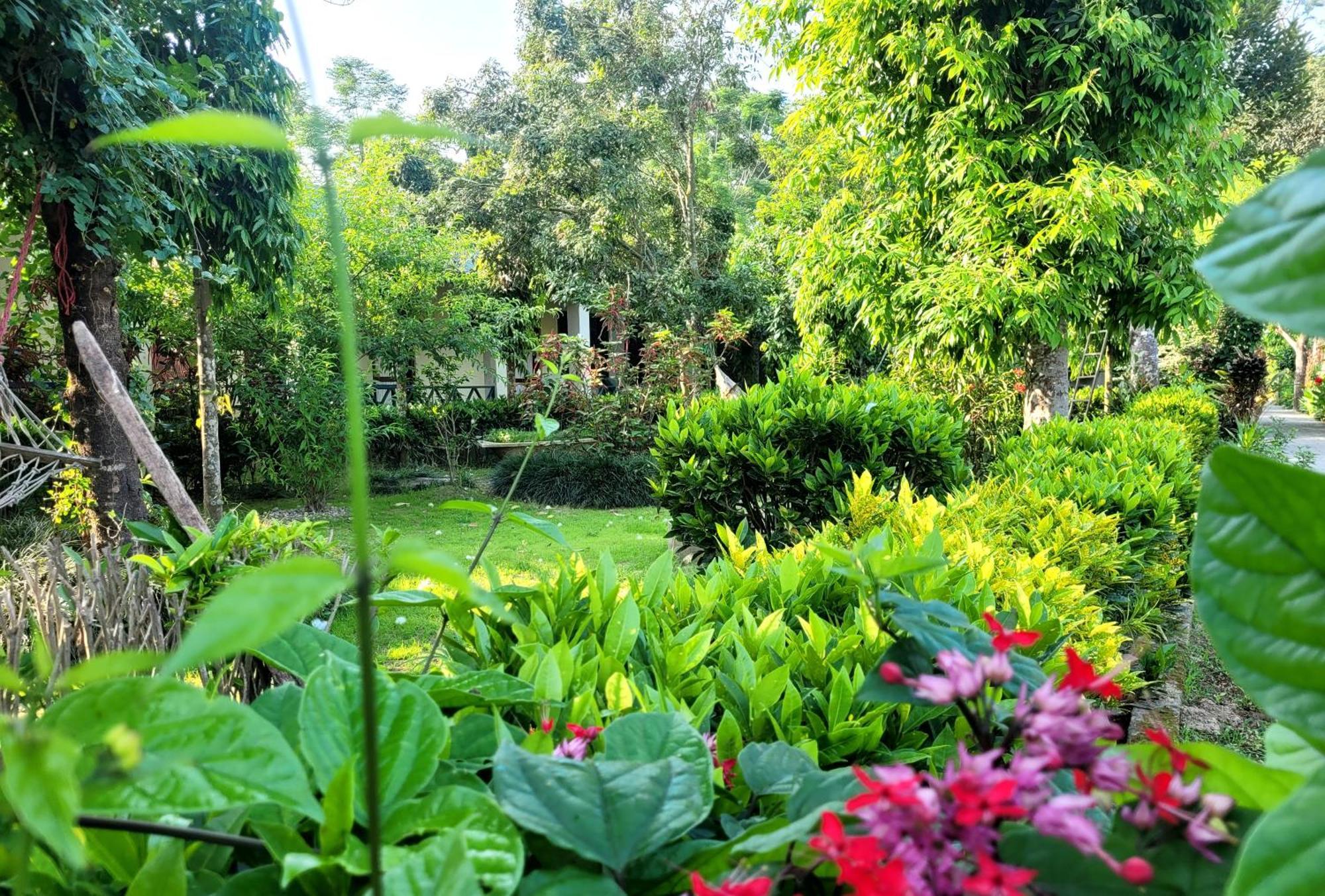 Hotel Butterfly - Peaceful Garden For Nature Lovers Саураха Екстер'єр фото