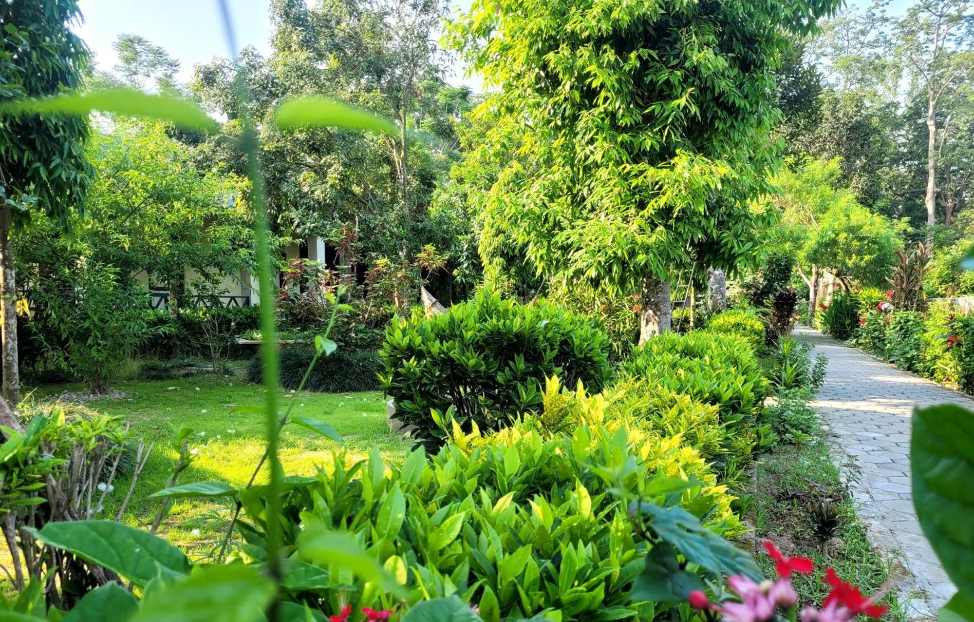 Hotel Butterfly - Peaceful Garden For Nature Lovers Саураха Екстер'єр фото